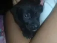 Sem nome ainda.