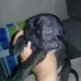 Sem nome ainda.