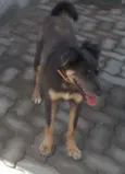 Mika