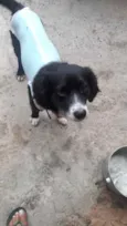 Joaquim 