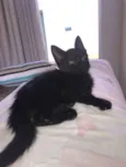 Teo