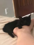 Teo