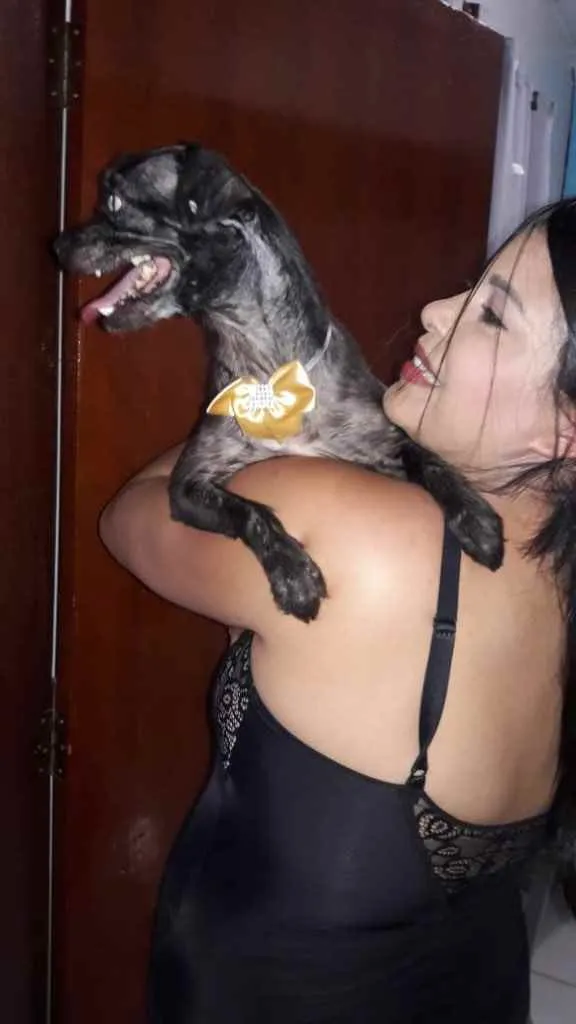 Cachorro ra a SRD idade 1 ano nome LECCA
