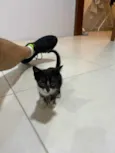 Não tem nome ainda