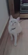 Lili