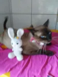 Tom