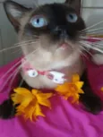 Tom