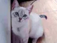 Lili