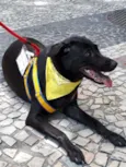 Lua