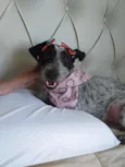 Bella