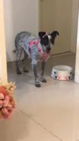 Bella