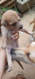 A critério