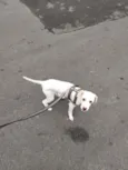 tiny