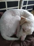 tiny