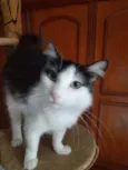 Milly
