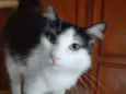 Milly