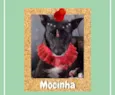 Mocinha