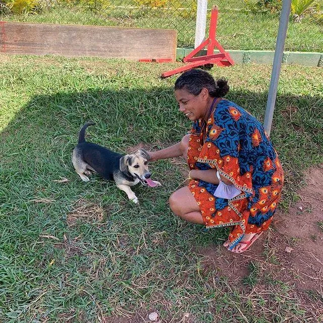 Cachorro raça SRD-ViraLata idade 2 anos nome Jade