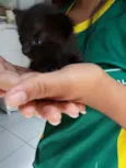 Não tem nome