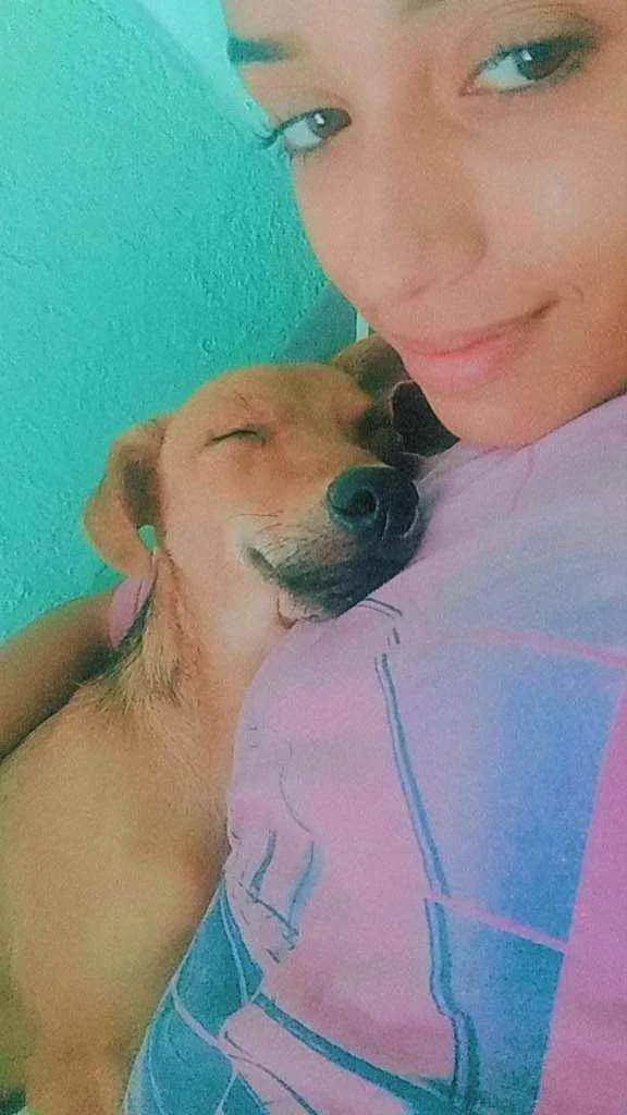 Cachorro ra a Vira lata idade 7 a 11 meses nome Marley