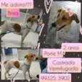 Brisa