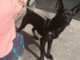 Paçoca