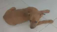 Não tem