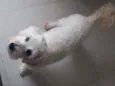 Théo