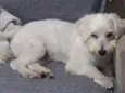 Théo