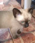 Stuart