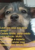 Filó