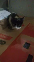 ....
