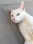 Marie