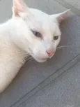 Marie
