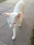Marie