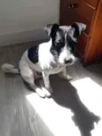 Jack