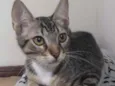 Charles