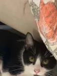 Mia 