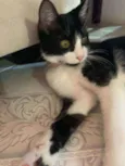 Mia 