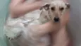 Dolly