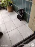 Matilda