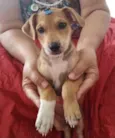 Samantha 