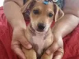 Samantha 