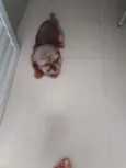 Não sabemos