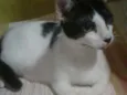 Miguel