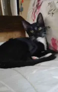 Kinzinho