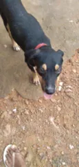 Airon