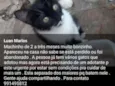 Não tem