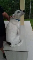 SemNome