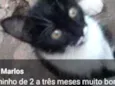 Não tem